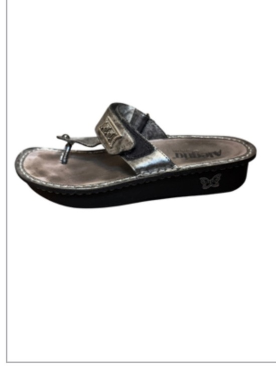 Alegria Shoes - ALEGRIA Gray Carina Pewter Leather Comfort Thong Sandal Size 39 US 9 Silver